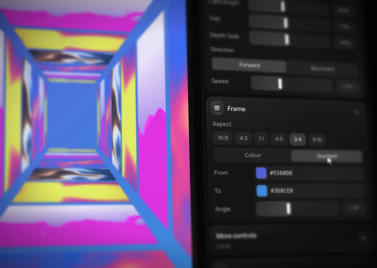Image Motion